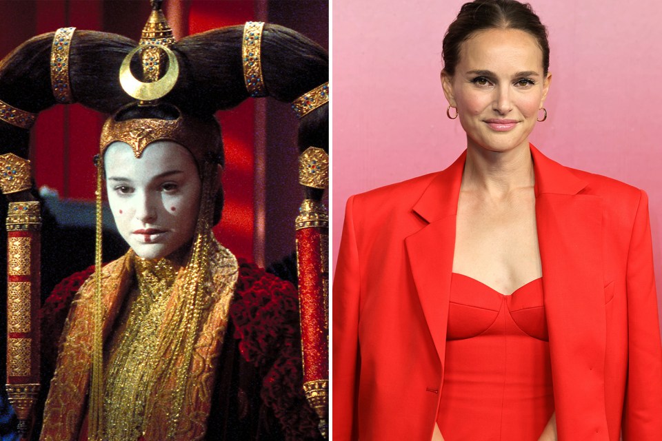 Natalie Portman's career has gone from strength to strength after her role in Star Wars.