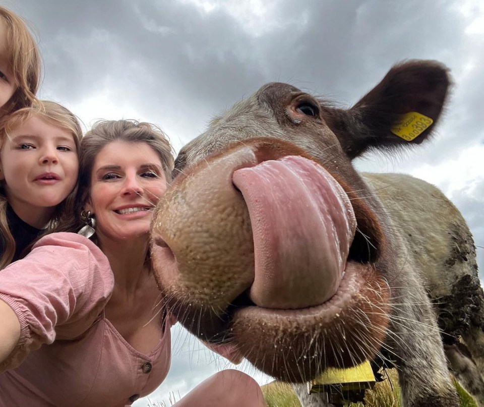 Amanda captured a great snap of Ciara the young calf