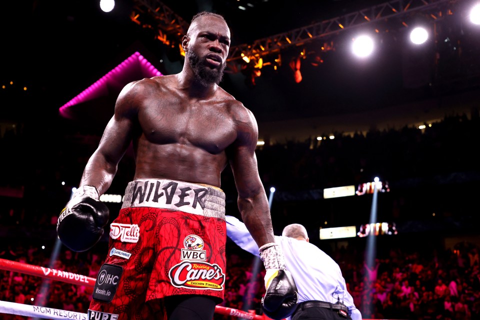 Wilder is set to continue his career following two defeats to Fury