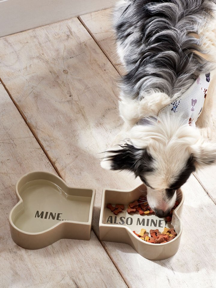 CHOW WOW… 2 Pack Bone Pet Bowls, £24