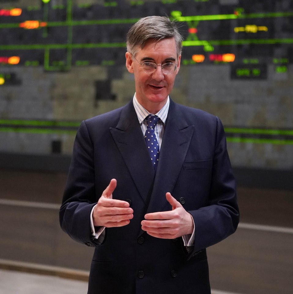 Jacob Rees-Mogg told The Sun that Britain  should 'reopen' the debate on fixed penalty notices