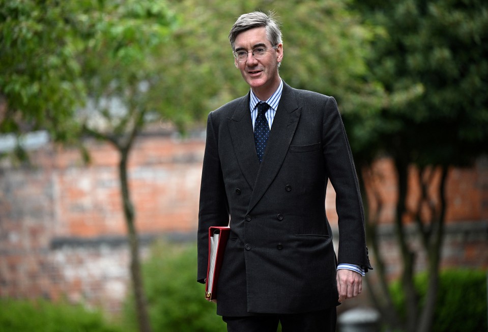 Cabinet minister Jacob Rees-Mogg has already outlined plans to cut 65,000 jobs in the civil service by 2025