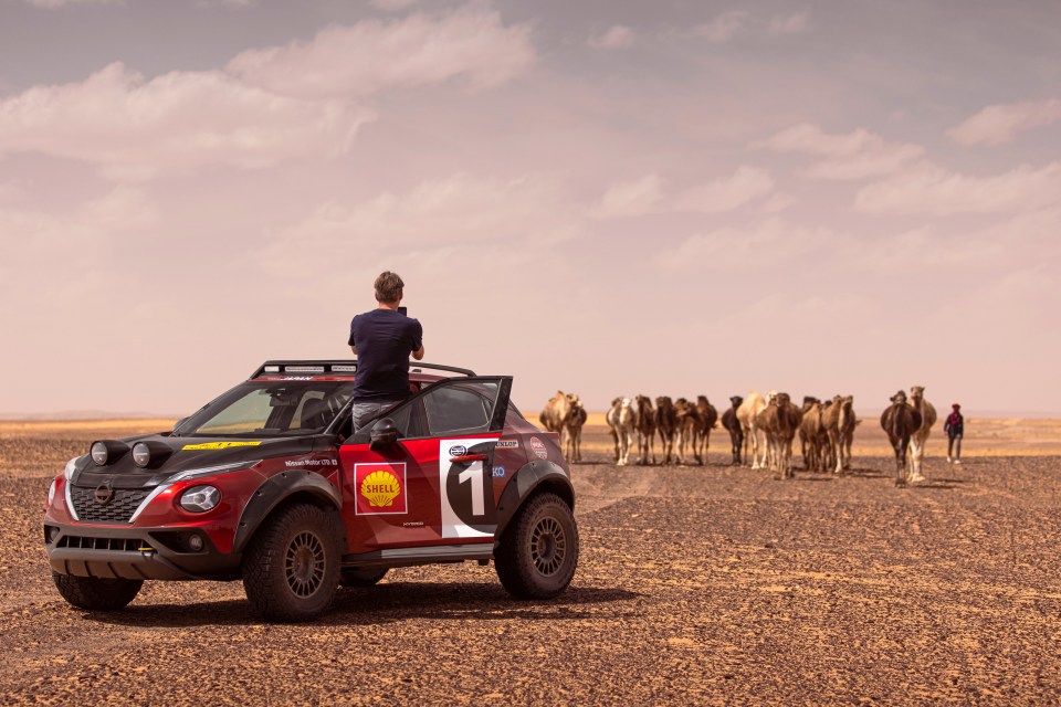 The Juke, desert and some camels