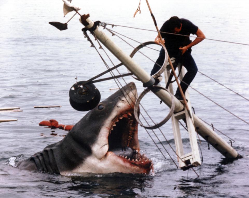  Jaws was released in 1975 and has become an iconic film