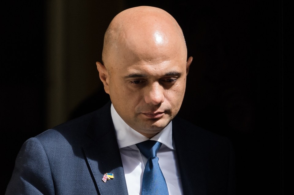 An insider said: 'It was made clear No10 hoped Javid would be in the delivery phase by the autumn rather than more words'