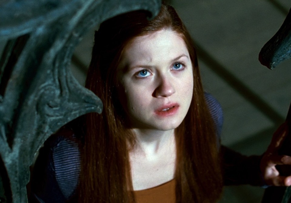 Bonnie in the final movie Harry Potter and the Deathly Hallows Part 2