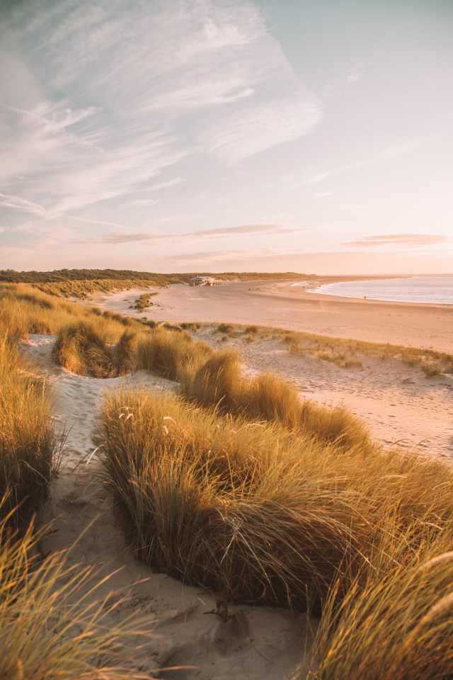 The Dutch do many things brilliantly: waffles, windmills, beer and, it turns out, seaside family holidays