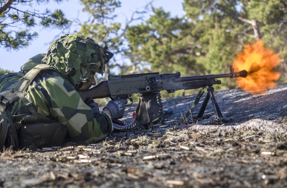 Swedish and Finnish troops joined Nato countries for war games