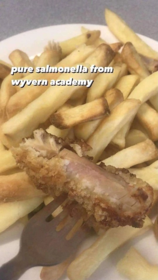 Parents claim that kids have been served undercooked chicken at Wyvern Academy in Darlington