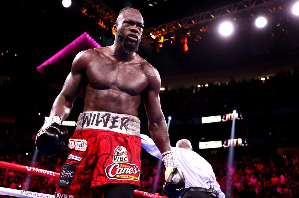 Deontay Wilder was called out by Derek Chisora