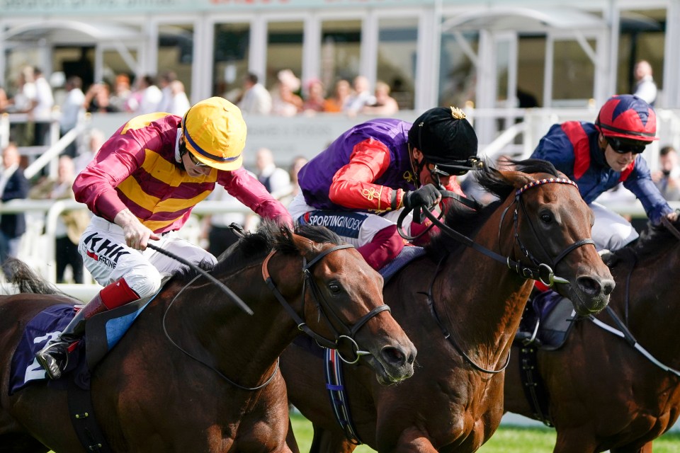 Reach For The Moon (centre) is the Queen's biggest hope for a winner this week