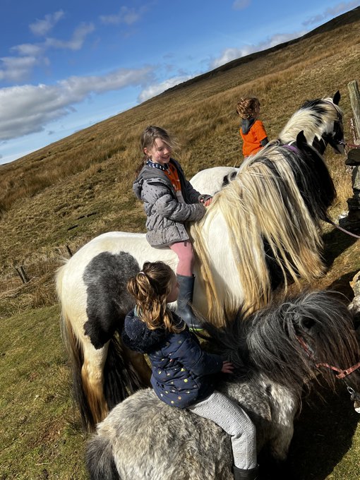 The children are very active on the farm and Amanda encourages them to learn their own parameters