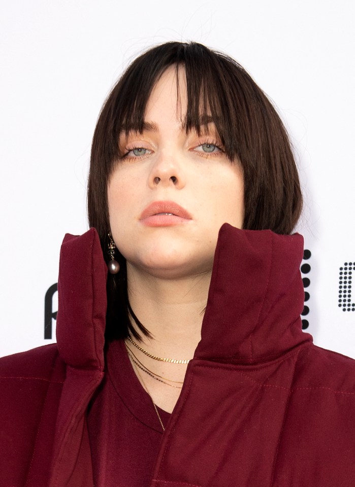 Billie Eilish took to the stage in Germany at Telekom Electronic Beats just hours after it was revealed she had split up with her boyfriend