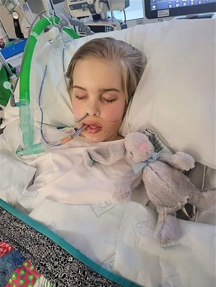 She will launch a new court battle to keep the 12-year-old on life support tomorrow