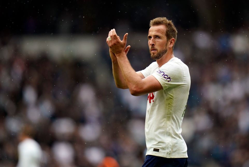 Kane enjoyed a successful season with Tottenham