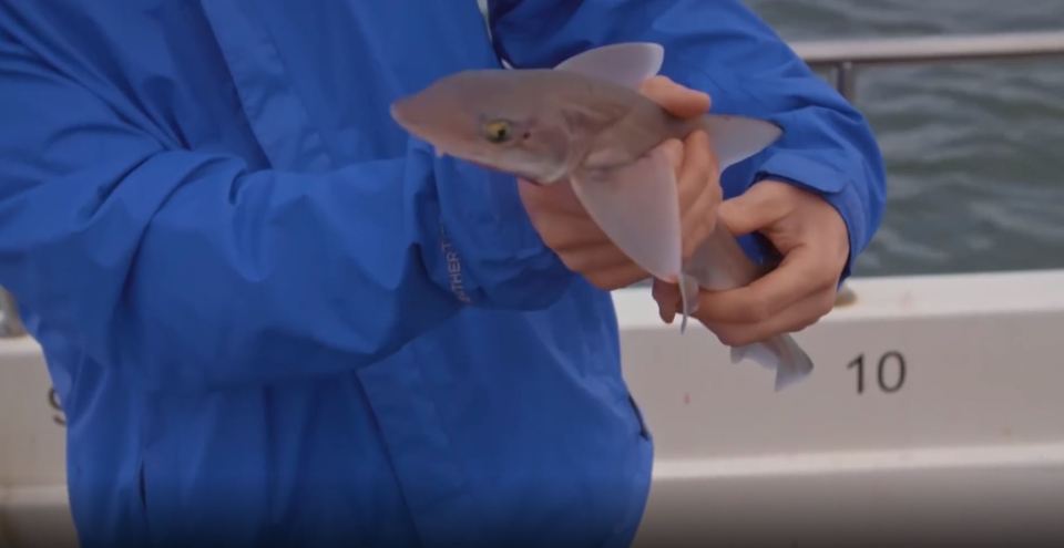 The pair end up catching lots of fish on a boat out at sea