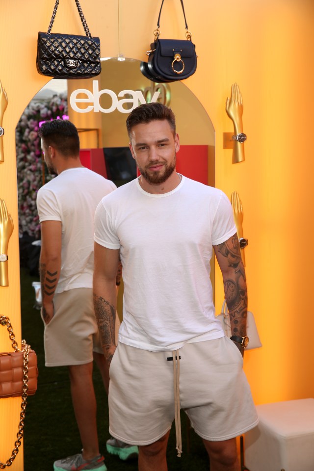 One Direction star Liam Payne is a big boxing fan