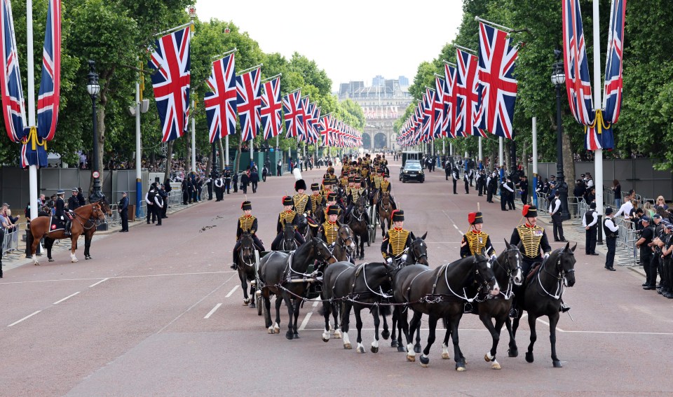 The Kings troop of the royal horse artillery ride down the Mall