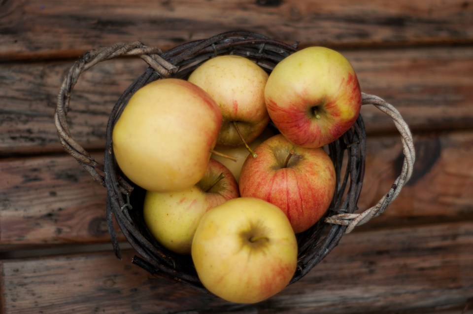 A bushel of apples weighs how many pounds?