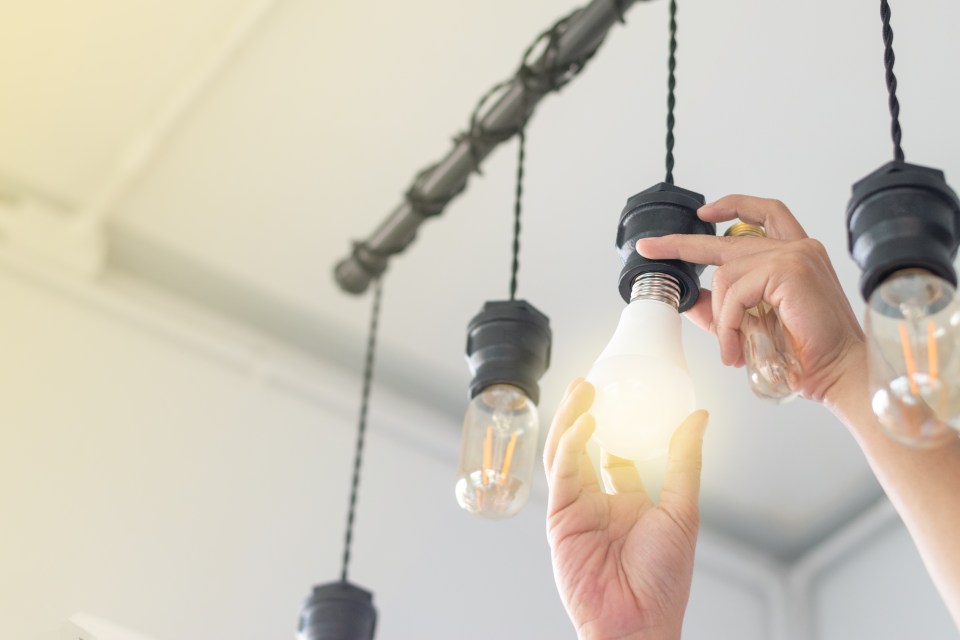 It might be time to ditch the regular light bulbs and replace them with LED ones, according to Holly