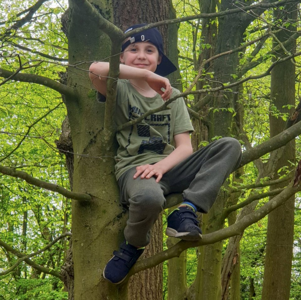 Ethan, who doesn't go to school, climbing a tree