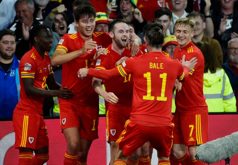 Jubilant Wales players celebrated after thinking they had avoided defeat