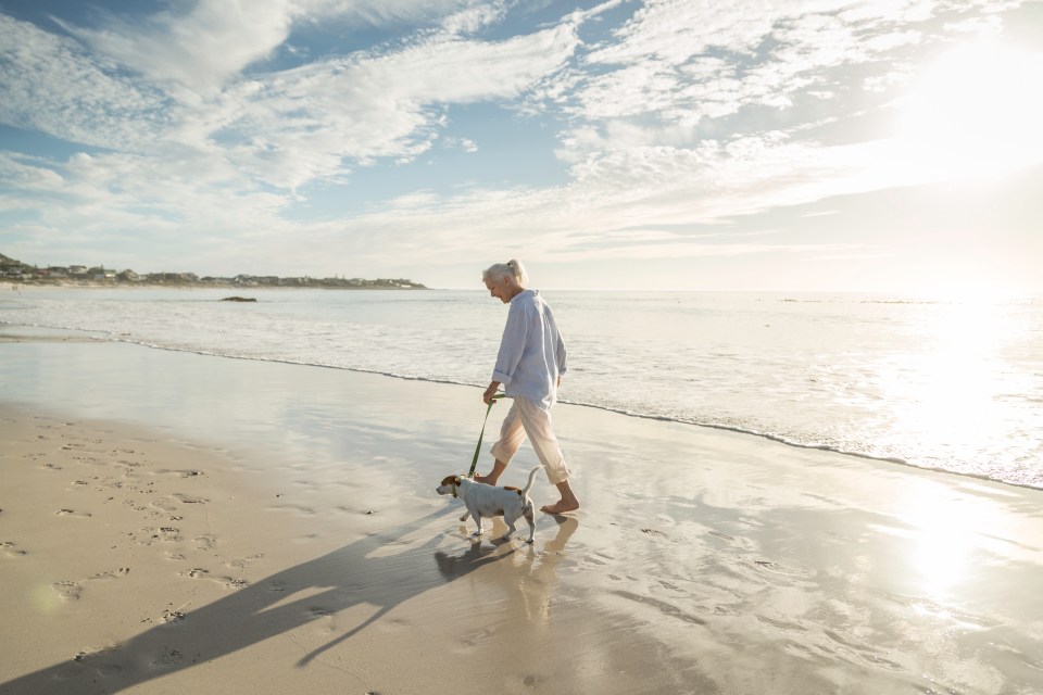 Walking your dog on the beach could land you with a fine