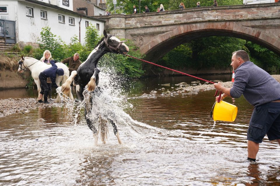 A man made sure his horse got a good soaking with a mini heatwave hitting the country