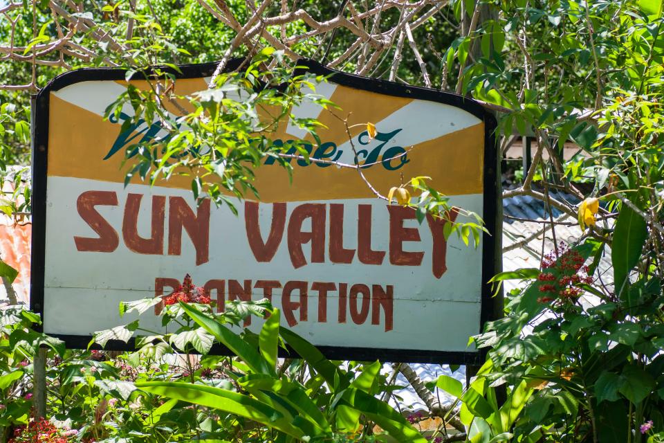 The Sun Valley plantation is one of more than 2,500 non-sugar plantations on the island