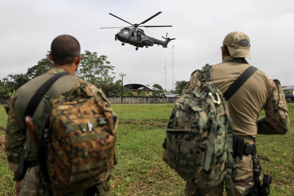 Brazilian Soldiers take part in a search operation