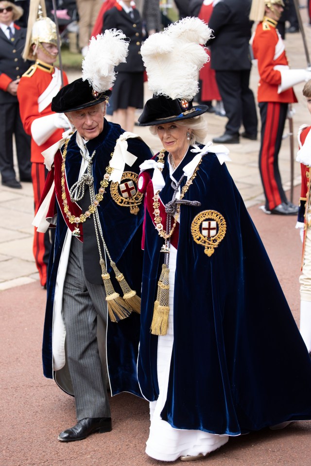 Charles and Camilla decked out in velvet robes