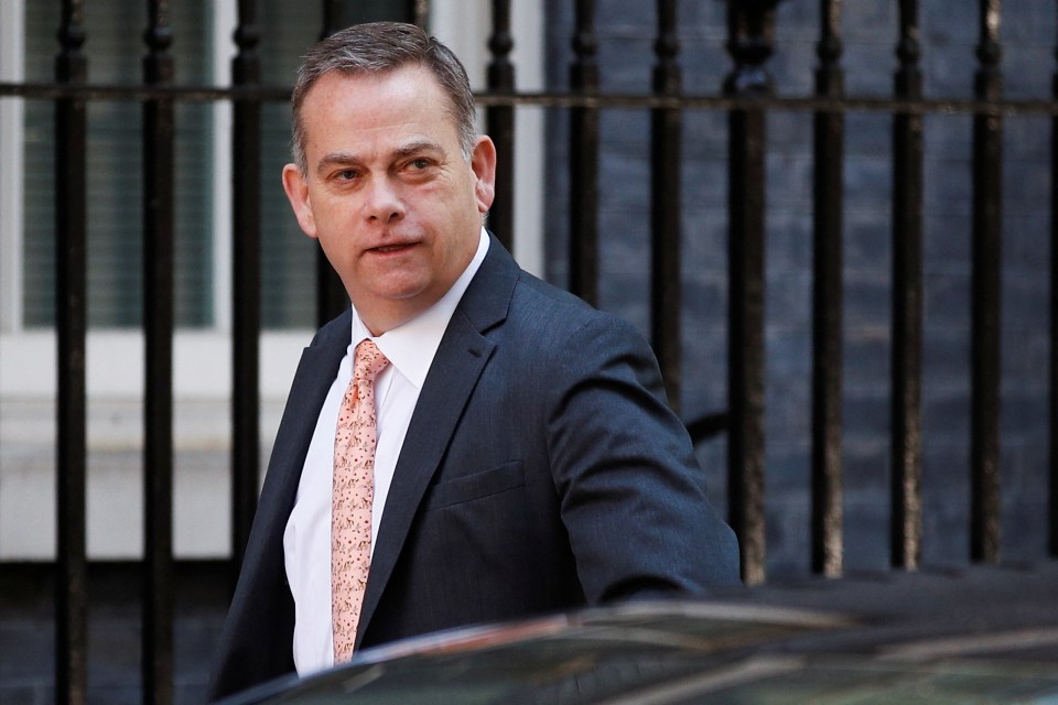 Minister without Portfolio Nigel Adams is in the frame after Oliver Dowden resigned last week