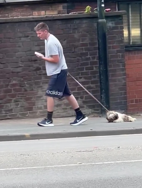 A man was videoed dragging a tiny dog along the pavement on its stomach