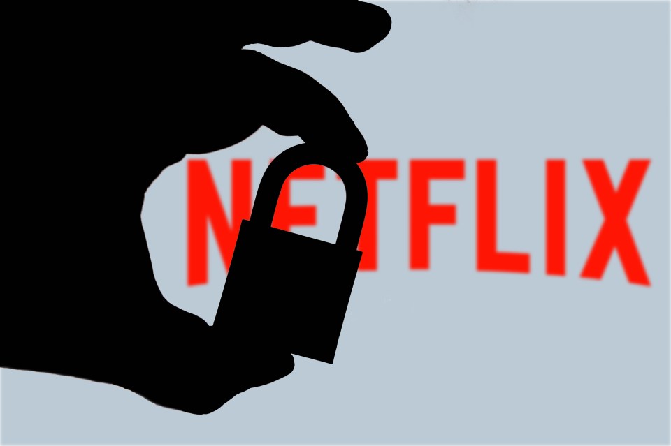 Netflix believes some 100million accounts are shared