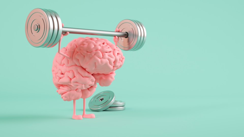 When it comes to our brain, it’s a case of ‘use it or lose it’ — and use it wisely