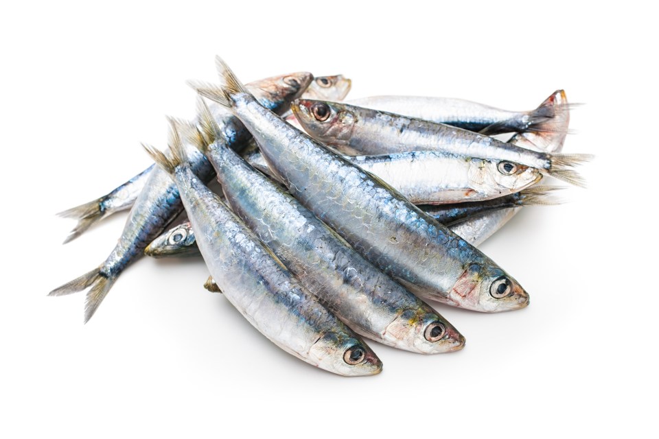 Oily fish can help with brain ageing