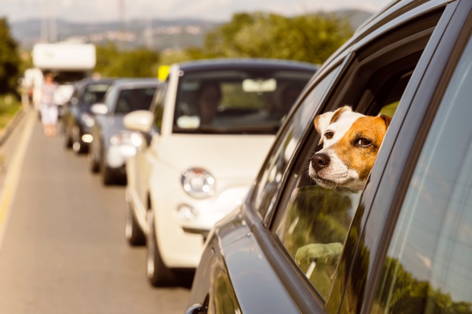 Traffic jams could be detrimental to your car as Brits head to the coast or on weekend trips in the heat