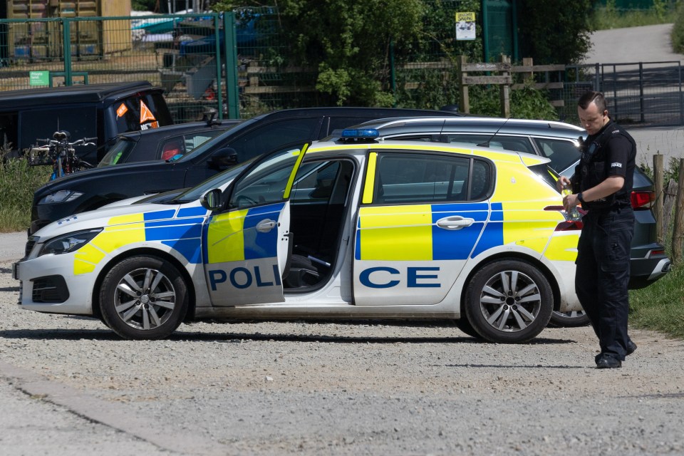 Police arrived to warn the lads about their dangerous diving