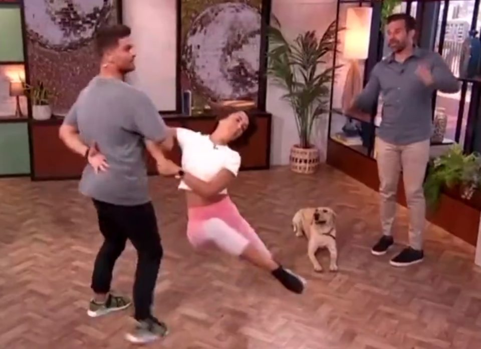 Morning Live viewers were left horrified as Strictly's Janette Manrara accidentally kicked a dog in the head