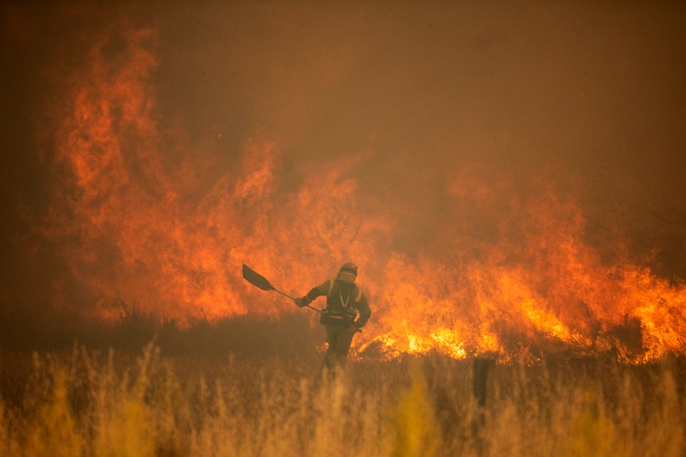 Spain has been hit by wildfires caused by soaring temperatures