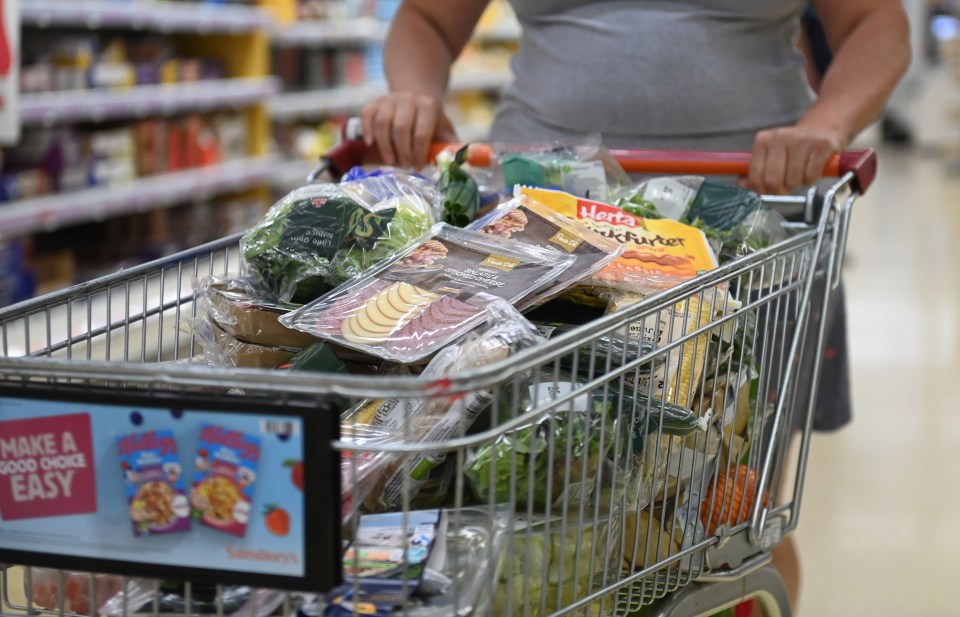 A shopper bagged huge discounts on groceries