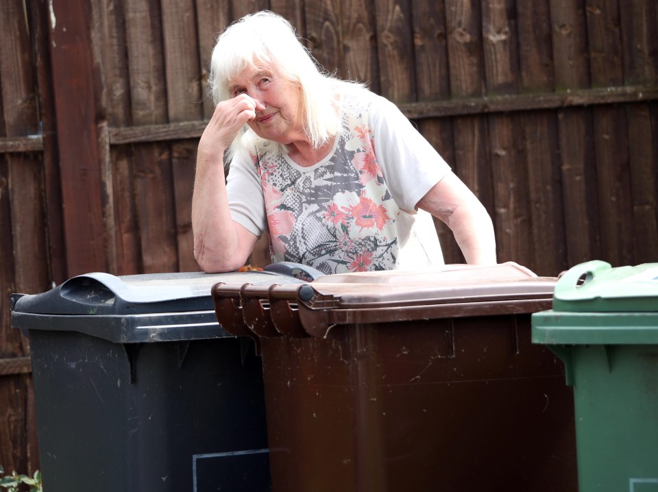 Neighbours claim swarms of RATS have descended on their homes to feast on the rotting trash