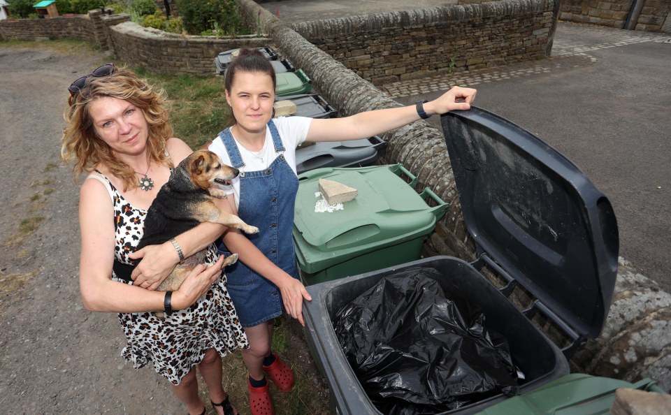 District nurse Sam Elsworth and her neighbour Rachel Wright battle with rubbish collection in Huddersfield, West Yorkshire