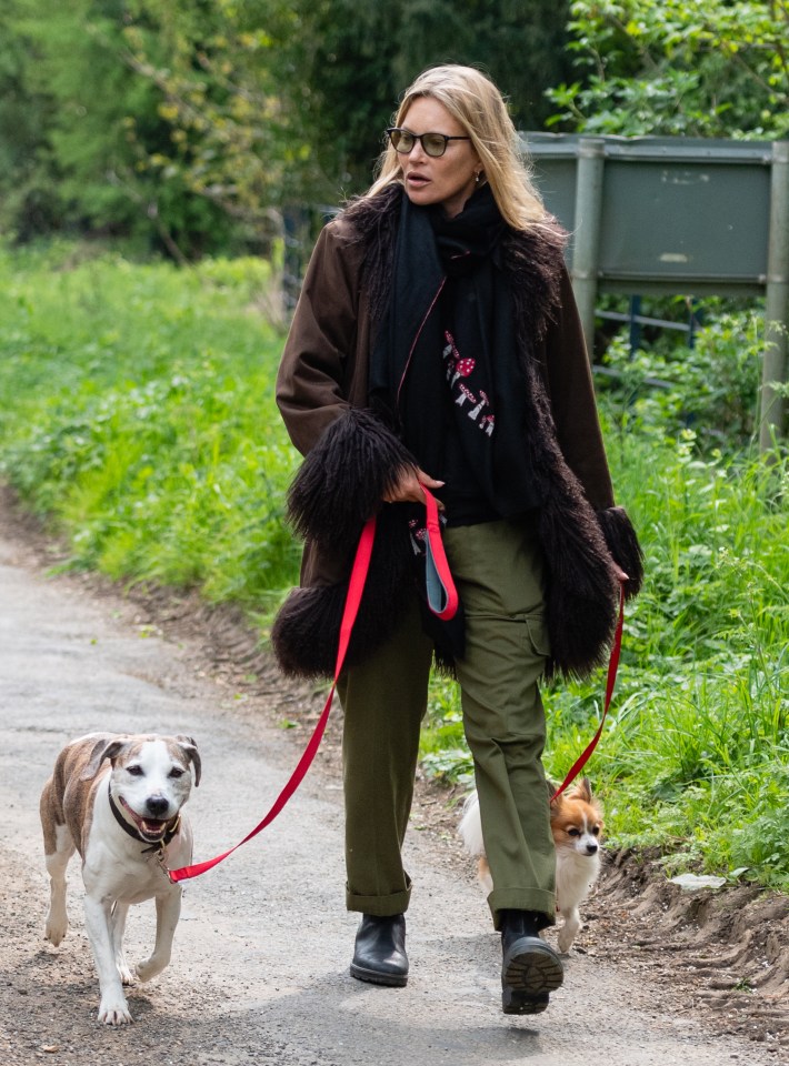 Kate walking her beloved dogs