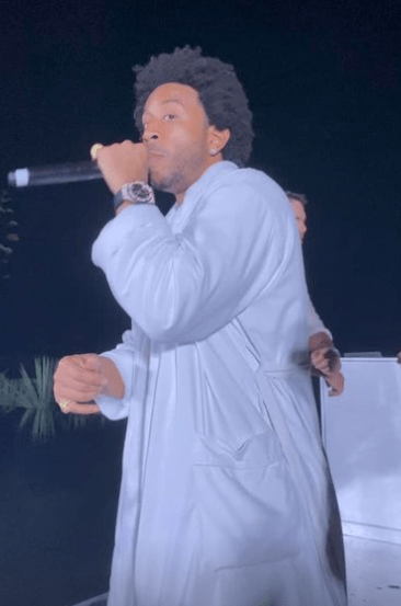 Rapper Ludacris performed at the party