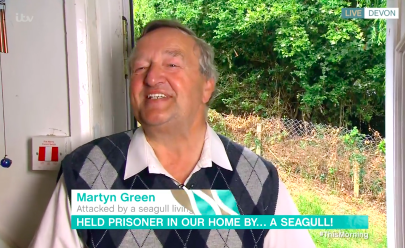 Martyn Green opened up about the seagull on This Morning earlier today