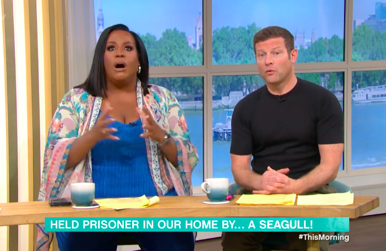 This Morning’s Alison Hammond and Dermot O’Leary were lost for words when a guest revealed a SEAGULL has held him hostage in his own home