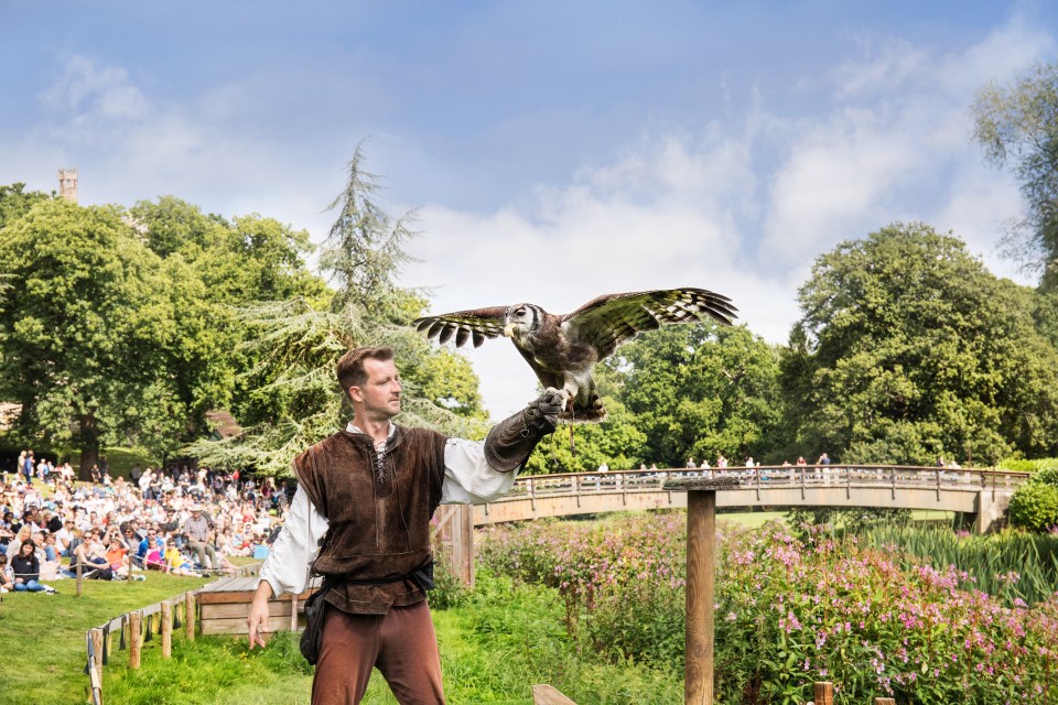  The Falconer’s Quest - The UK’s Largest Bird of Prey Display