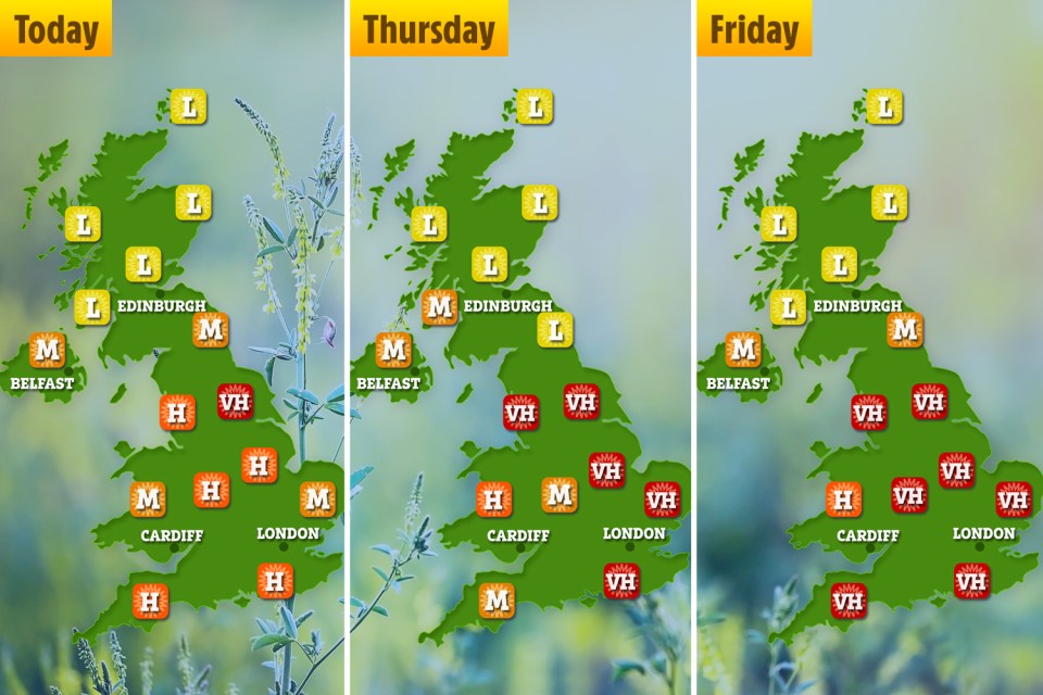 The chart above shows pollen levels across the country today, through to Friday