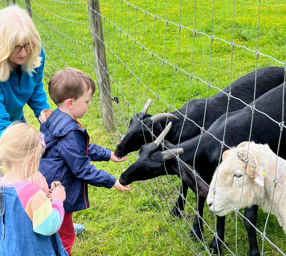 Trisha and the kids enjoy feeding time at the farm